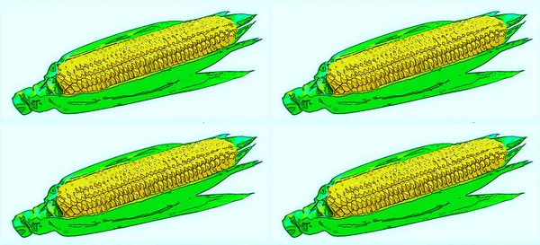 甘いトウモロコシの看板イラスト ポップアートの背景アイコンとカラースポット — ストック写真