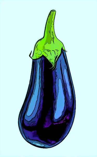 Aubergine Teken Illustratie Pop Art Achtergrond Pictogram Met Kleurvlekken — Stockfoto