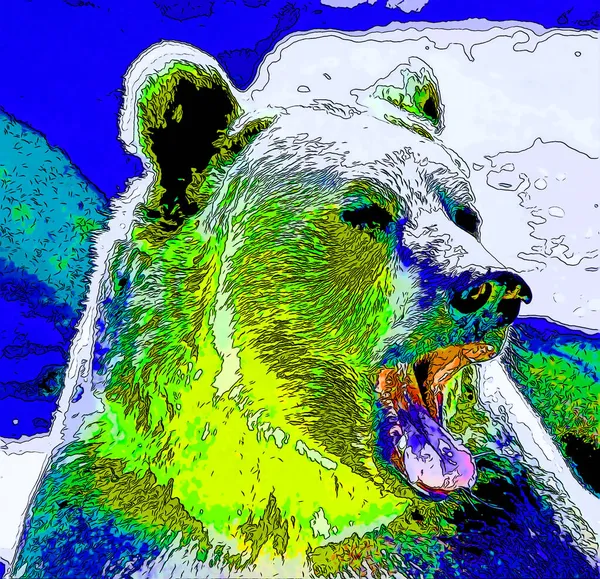 Grizzly Bear Işaret Işareti Renk Lekeli Pop Art Arkaplan Simgesi — Stok fotoğraf