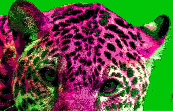 Jaguar Tecken Illustration Pop Art Bakgrund Ikon Med Färgfläckar — Stockfoto