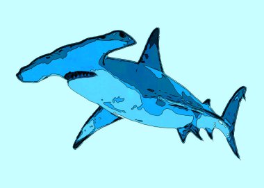 Çekiç köpekbalığı işaret illüstrasyonu renk lekeli pop-art arkaplan simgesi