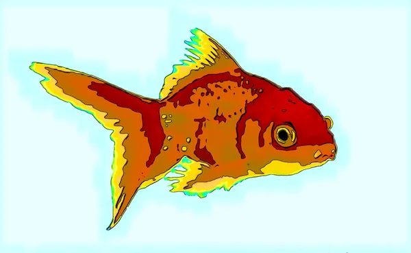 Goldfish Zeichen Illustration Pop Art Hintergrund Symbol Mit Lebendigen Farben — Stockfoto