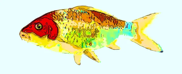 Koi Pesce Segno Illustrazione Sfondo Icona Con Colori Vivaci — Foto Stock
