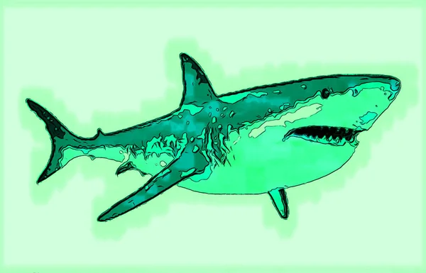 Большая Белая Акула Знак Иллюстрации Иконка Поп Арт Фон Цветными — стоковое фото