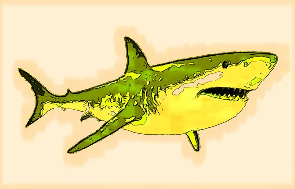 Velký Bílý Žralok Znamení Ilustrace Pop Art Pozadí Ikona Barevnými — Stock fotografie