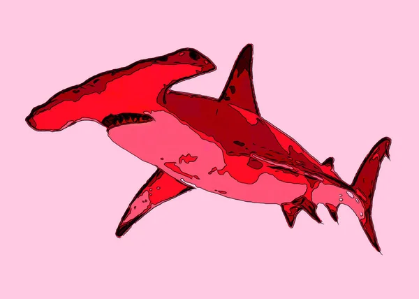 Hammer Hai Zeichen Illustration Pop Art Hintergrund Symbol Mit Farbflecken — Stockfoto