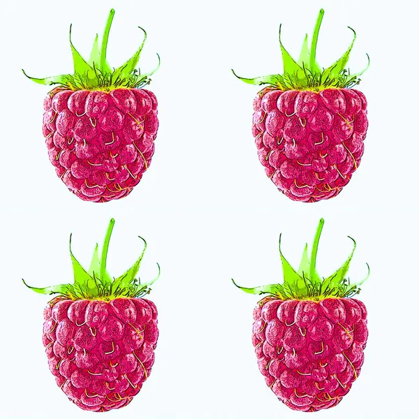 树莓标志图为带有色斑的流行艺术背景图标 — 图库照片