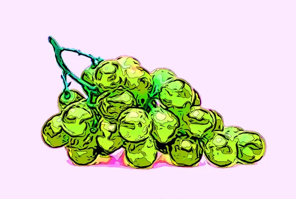 Druiven Teken Illustratie Pop Art Achtergrond Pictogram Met Kleurvlekken — Stockfoto