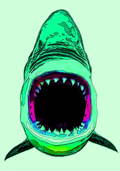 Great White Shark Sign Illustration Pop Art Background Icon Color — 스톡 사진