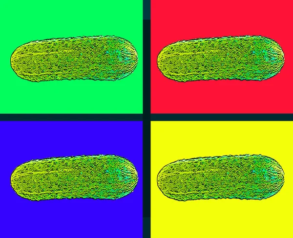 Εικονογράφηση Πινακίδας Pickle Pop Art Εικονίδιο Φόντου Κηλίδες Χρώματος — Φωτογραφία Αρχείου