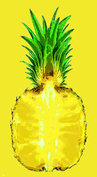 Ananas Znak Ilustracja Pop Art Tło Ikona Kolorowe Plamy — Zdjęcie stockowe