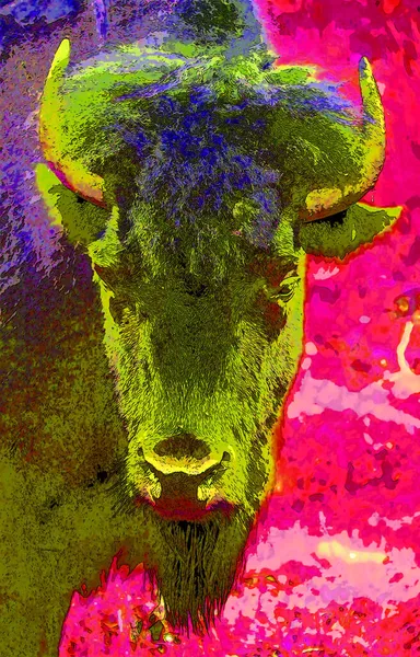 Bison Jel Illusztráció Pop Art Háttér Ikon Színes Foltok — Stock Fotó