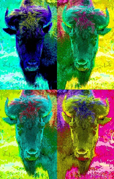 Bison Sign Illustration Pop Art Background Icon Color Spots — Stock Photo, Image