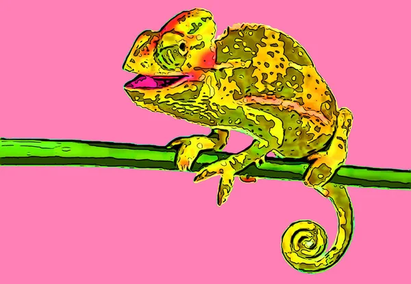 Chameleon Sitting Branch Sign Illustration Pop Art Εικονίδιο Φόντου Κηλίδες — Φωτογραφία Αρχείου