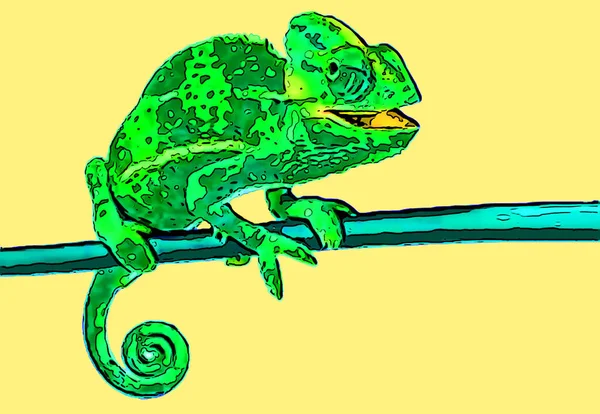 Chameleon Sitting Branch Sign Illustration Pop Art Background Icon Color — 图库照片