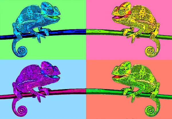 Chameleon Sitting Branch Sign Illustration Pop Art Εικονίδιο Φόντου Κηλίδες — Φωτογραφία Αρχείου