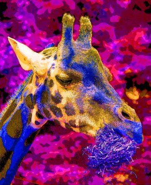 Zürafa, renk lekeli pop-art arkaplan simgesi imzası