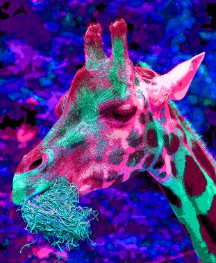 Zürafa, renk lekeli pop-art arkaplan simgesi imzası