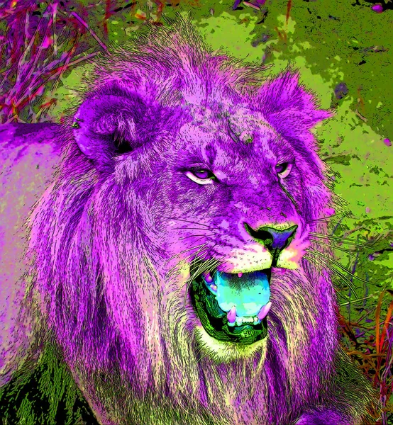 Volgende Lion Teken Illustratie Pop Art Achtergrond Pictogram Met Kleur — Stockfoto