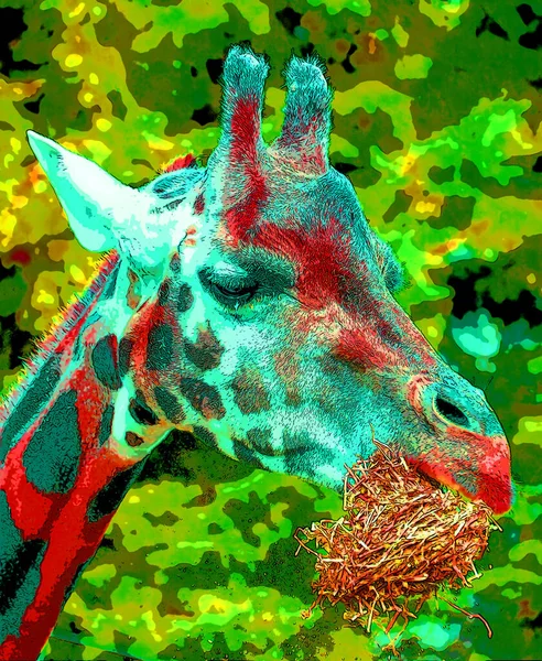 Giraffe Zeichen Illustration Pop Art Hintergrund Symbol Mit Farbflecken — Stockfoto