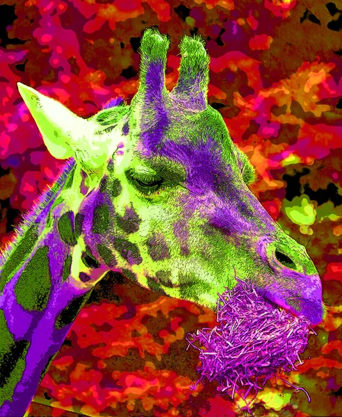 Иллюстрация Знака Жирафа Иконка Поп Арта Цветными Пятнами — стоковое фото