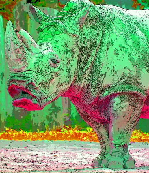 Rhinoceros Znamení Ilustrace Pop Art Pozadí Ikona Barevnými Skvrnami — Stock fotografie