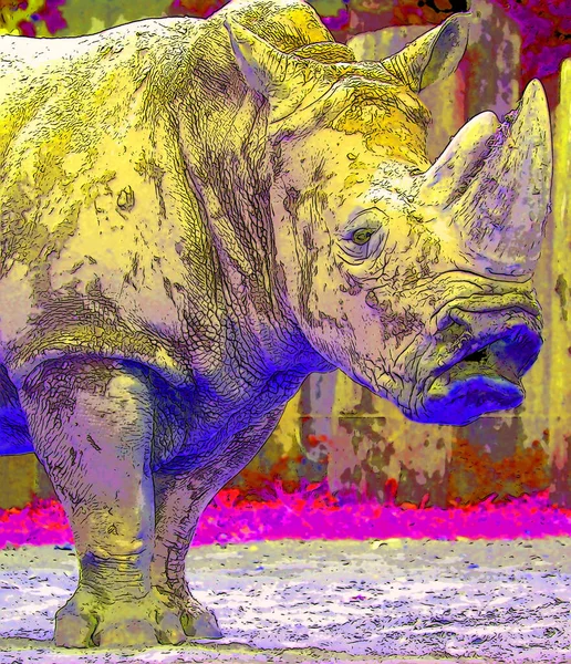 Носорог Знак Иллюстрации Иконка Поп Арт Фон Цветными Пятнами — стоковое фото