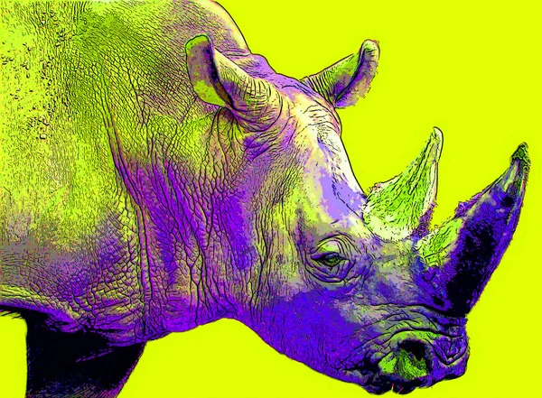 Rhinoceros Sign Illustration Pop Art Background Icon Color Spots — Stock Photo, Image