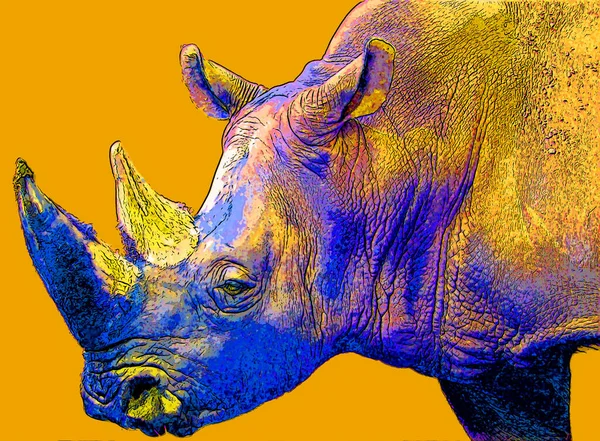 Rhinoceros Υπογράψει Εικόνα Pop Art Εικονίδιο Φόντου Κηλίδες Χρώματος — Φωτογραφία Αρχείου