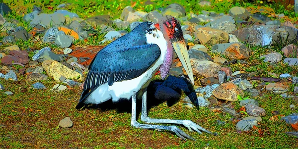 Marabou Stork Leptoptilos Crumeniferus Σημάδι Εικονογράφηση Pop Art Φόντο Εικονίδιο — Φωτογραφία Αρχείου