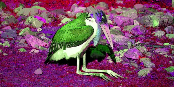 Marabou Stork Leptoptilos Crumeniferus Znamení Ilustrace Pop Art Pozadí Ikona — Stock fotografie