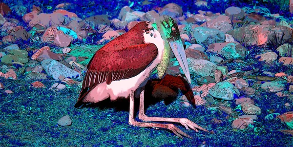 Marabou Stork Leptoptilos Crumeniferus Tecken Illustration Pop Art Bakgrund Ikon — Stockfoto