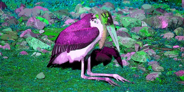Marabou Stork Leptoptilos Crumeniferus Renk Lekeli Pop Art Arkaplan Simgesini — Stok fotoğraf