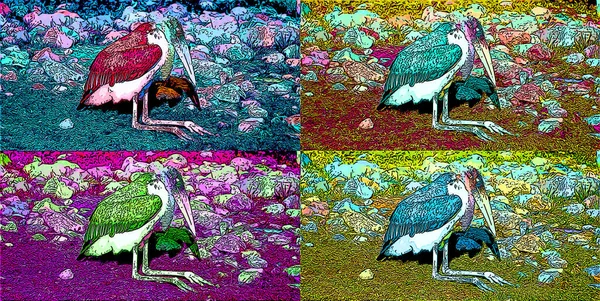 Marabou Stork Leptoptimistic Los Crumeniferus签署了带有色斑的流行艺术背景图标 — 图库照片