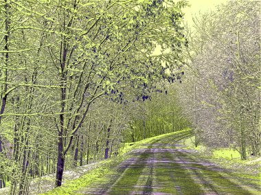 Quebec, Kanada 'nın Bromont doğusundaki kış manzarası renkli pop-art arkaplan simgesini imzaladı