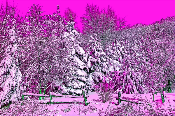 Quebec Kanada Nın Bromont Doğusundaki Kış Manzarası Renkli Pop Art — Stok fotoğraf