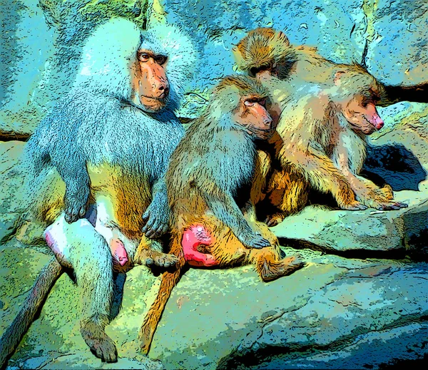 Baboons Family Old World Monkeys Belonging Genus Papio Sign Illustration — Stockfoto