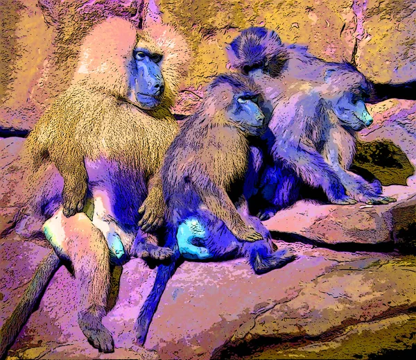 Baboons Family Old World Monkeys Belonging Genus Papio Sign Illustration — Stockfoto