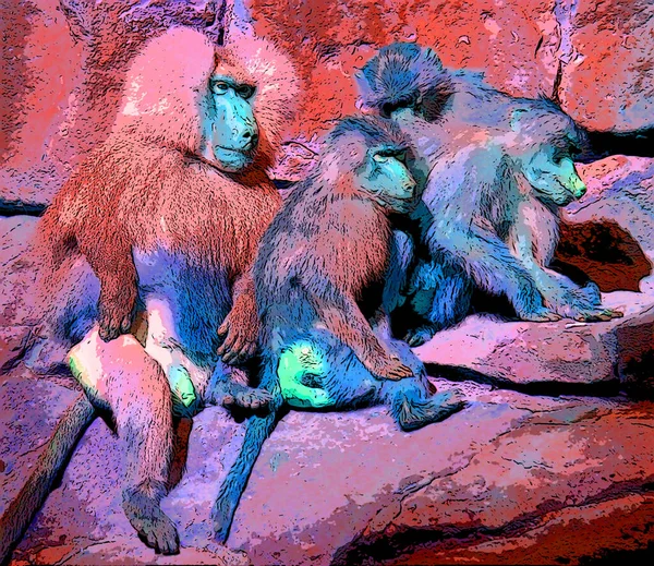 Baboons Family Old World Monkeys Belonging Genus Papio Sign Illustration — Fotografia de Stock