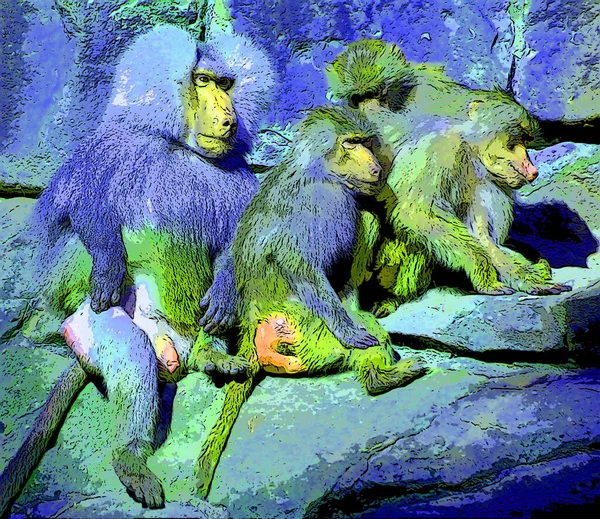 Baboons Family Old World Monkeys Belonging Genus Papio Sign Illustration — Fotografia de Stock
