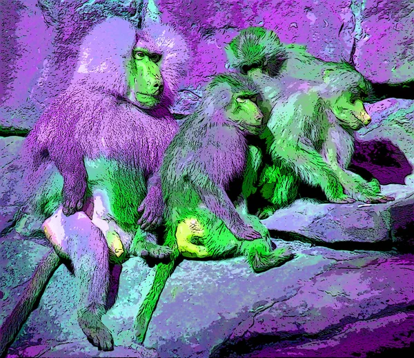Baboons Family Old World Monkeys Belonging Genus Papio Sign Illustration — стоковое фото