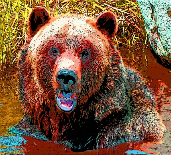 Grizzly Urso Sinal Ilustração Pop Art Ícone Fundo Com Manchas — Fotografia de Stock