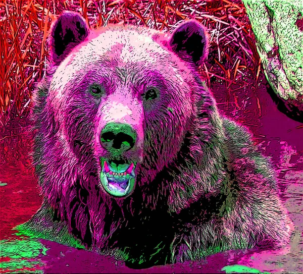 Grizzly Oso Signo Ilustración Pop Art Icono Fondo Con Manchas — Foto de Stock