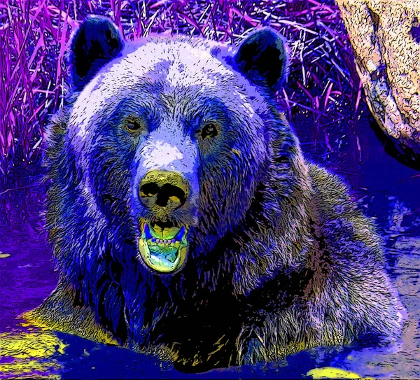 Grizzly Bear Sign Illustration Pop Art Background Icon Color Spots — Stock Photo, Image