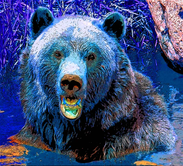 Grizzly Urso Sinal Ilustração Pop Art Ícone Fundo Com Manchas — Fotografia de Stock