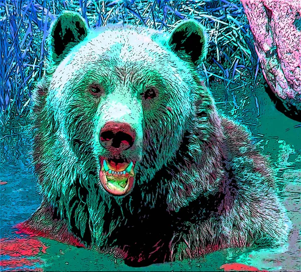 灰熊标志图为带有色斑的流行艺术背景图标 — 图库照片