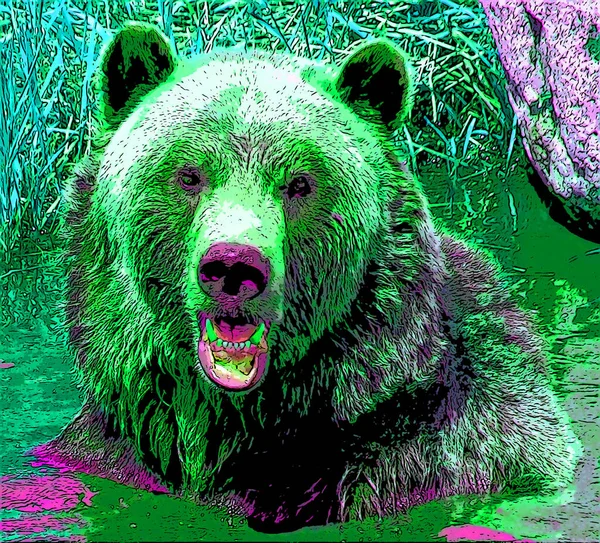 Grizzly Bear Zeichen Illustration Pop Art Hintergrund Symbol Mit Farbflecken — Stockfoto