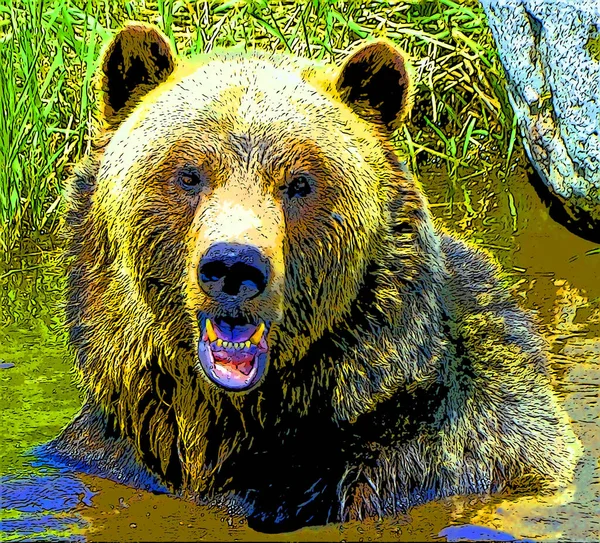 Grizzly Urso Sinal Ilustração Pop Art Ícone Fundo Com Manchas — Fotografia de Stock