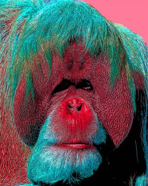 Orangutanlar canlı renk beneklerine sahip pop-art arkaplan simgesini imzaladılar