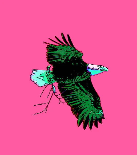 American Bald Eagle Sign Illustration Pop Art Background Icon Vivid — Fotografia de Stock
